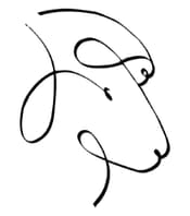 crazyforewe.com Logo