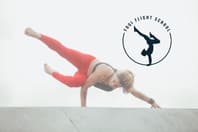 Yogi Flight School Logo