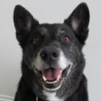 Buy Fire Alarm Parts Logo