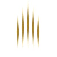 Five Star Alliance Logo